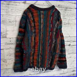 COOGI 3D Multicolor Knit Sweater